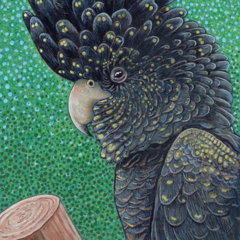 Painting titled "Black Cockatoo" by Vikki Jackson, Original Artwork, Acrylic