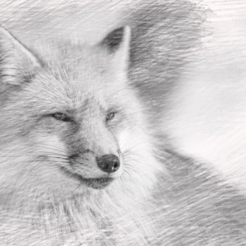 Digital Arts titled "Fox" by Viktoriay Bozhko, Original Artwork, Digital Painting