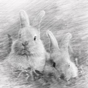 Digital Arts titled "two rabbit" by Viktoriay Bozhko, Original Artwork, 2D Digital Work
