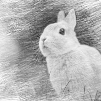 Arte digitale intitolato "White Rabbit" da Viktoriay Bozhko, Opera d'arte originale, Lavoro digitale 2D