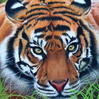 Dessin intitulée "Tiger" par Viktoriya Nasyrova, Œuvre d'art originale, Pastel