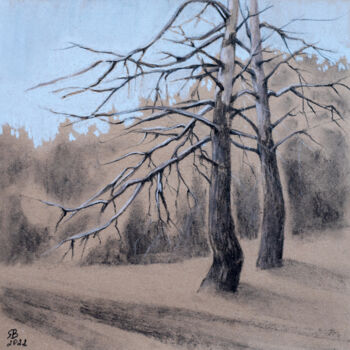 Disegno intitolato "Old Pines Drawing" da Viktoriya Yakubouskaya, Opera d'arte originale, Carbone