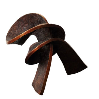 Escultura intitulada "Rotoxy I" por Vincent Champion-Ercoli, Obras de arte originais, Bronze