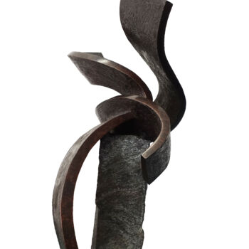 Скульптура под названием "Space Flower I" - Vincent Champion-Ercoli, Подлинное произведение искусства, Бронза
