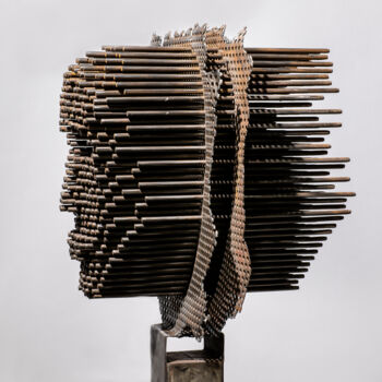 Sculpture intitulée "Apparence's" par Vincent Fons, Œuvre d'art originale, Métaux