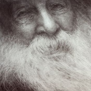 Tekening getiteld "Walt Whitman" door Vincent Haller, Origineel Kunstwerk, Houtskool Gemonteerd op Karton