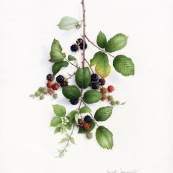 Painting titled "BLACKBERRIES" by Vincent Jeannerot, Original Artwork, Oil