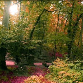 Photographie intitulée "Un air d'automne" par Thibault Vincent, Œuvre d'art originale, Photographie numérique