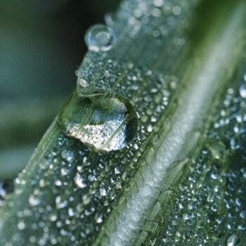 Photographie intitulée "Dew drops #2" par Vincenzo Izzo, Œuvre d'art originale, Photographie numérique