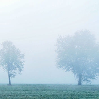 Photography titled "Two trees shrouded…" by Vincenzo Izzo, Original Artwork, Digital Photography