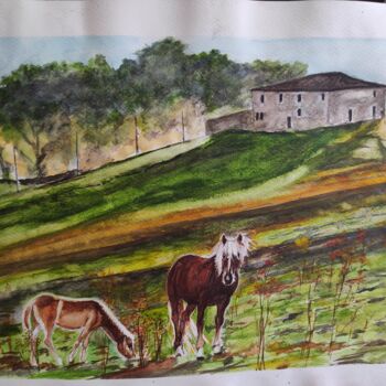 Painting titled "Collina" by Vincenzo Piras, Original Artwork, Watercolor