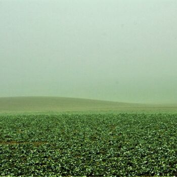 Photographie intitulée "Vert campagne" par Virginie Dartois, Œuvre d'art originale, Photographie numérique
