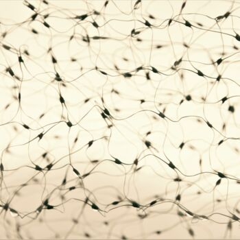 Photography titled "Synapses" by Virginie Dartois, Original Artwork, Digital Photography