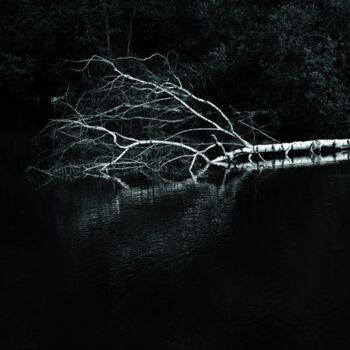 Fotografie mit dem Titel "L'arbre dort" von Virginie Dartois, Original-Kunstwerk, Digitale Fotografie