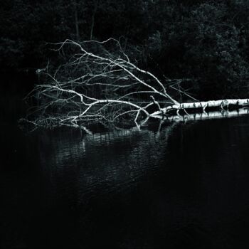 Photographie intitulée "L'arbre dort" par Virginie Dartois, Œuvre d'art originale, Photographie numérique