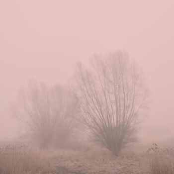 Fotografía titulada "Délicatesse des arb…" por Virginie Dartois, Obra de arte original, Fotografía digital