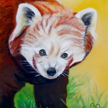Dessin intitulée "Panda roux" par Virginie Etignard, Œuvre d'art originale, Pastel