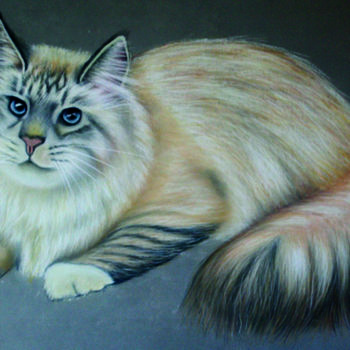 Dessin intitulée "Chat Sibérien" par Virginie Rouquet-Vayssier, Œuvre d'art originale, Pastel