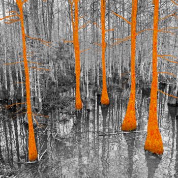 Digital Arts titled "Foreverglades" by Virginie, Original Artwork, Manipulated Photography