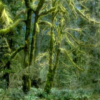 Malerei mit dem Titel "Green Moss and Emer…" von Robert Anthony, Original-Kunstwerk, Andere
