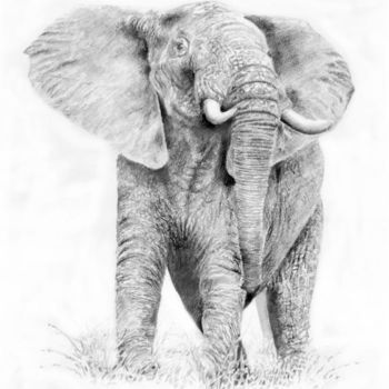 Painting titled "Elephant" by Robert Anthony, Original Artwork, Oil