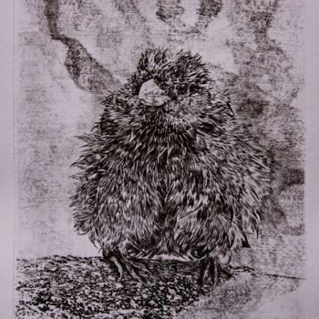 Printmaking titled "С.Свидер. Воробей." by Natalia Visheva, Original Artwork, Engraving