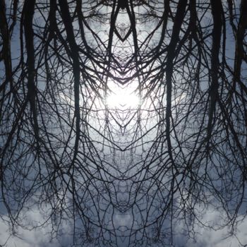 Photography titled "AcaciA solaire 3D p…" by Miroir Planétaire Blanc, Original Artwork, Manipulated Photography