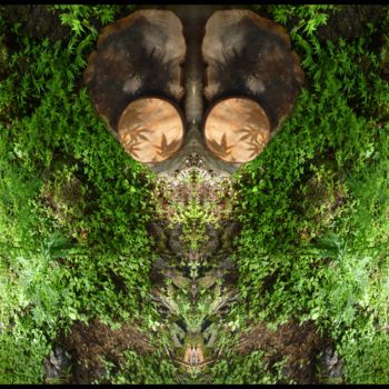 Photographie intitulée "Nature secrète phot…" par Miroir Planétaire Blanc, Œuvre d'art originale, Photographie manipulée
