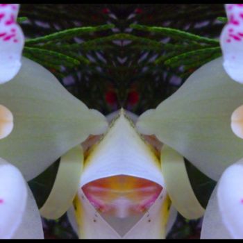 Photography titled "Esprit Chien floral…" by Miroir Planétaire Blanc, Original Artwork, Manipulated Photography