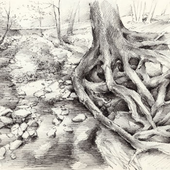Disegno intitolato "Roots and silent fo…" da Adriana Mueller, Opera d'arte originale, Inchiostro