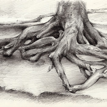 Drawing titled "Roots and silent fo…" by Adriana Mueller, Original Artwork, Ink