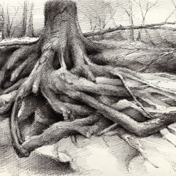 Drawing titled "Roots and silent fo…" by Adriana Mueller, Original Artwork, Ink