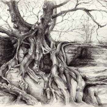 Dibujo titulada "Graceful tree that…" por Adriana Mueller, Obra de arte original, Tinta