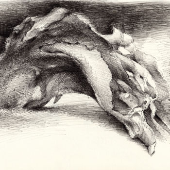 Dibujo titulada "Wood, formed by nat…" por Adriana Mueller, Obra de arte original, Tinta