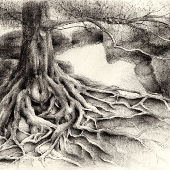 Drawing titled "Root and sandstone" by Adriana Mueller, Original Artwork, Ink