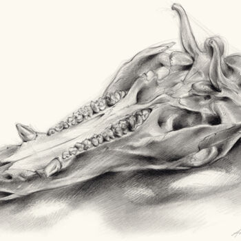 Рисунок под названием "Wild boar skull and…" - Adriana Mueller, Подлинное произведение искусства, Карандаш