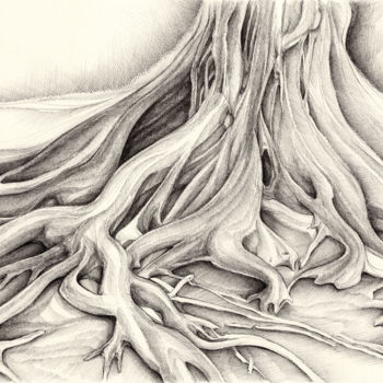 Zeichnungen mit dem Titel "Ficus Macrophylla I…" von Adriana Mueller, Original-Kunstwerk, Tinte
