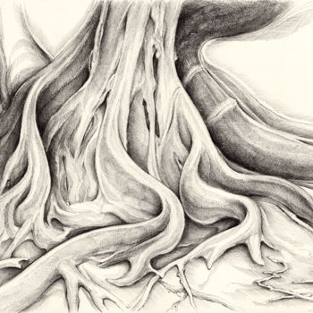 Dessin intitulée "Ficus Macrophylla V" par Adriana Mueller, Œuvre d'art originale, Encre