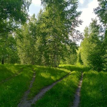 Фотография под названием "Лесные дорожки" - Vlada Levkina, Подлинное произведение искусства, Не манипулируемая фотография