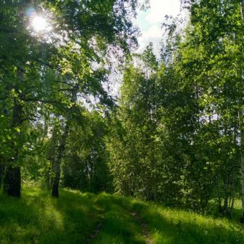 Фотография под названием "В лесу" - Vlada Levkina, Подлинное произведение искусства, Не манипулируемая фотография