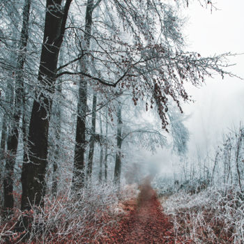 Fotografie getiteld "Der Weg im Winterwa…" door Wladimir Jäger, Origineel Kunstwerk, Digitale fotografie