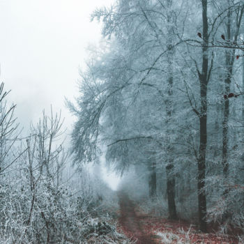 Fotografie mit dem Titel "Winterwald 2" von Wladimir Jäger, Original-Kunstwerk, Digitale Fotografie