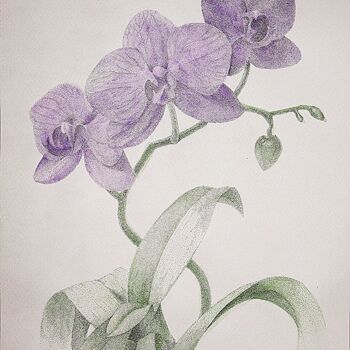 Drawing titled "Purple orhidea" by Vladimir Kozlov, Original Artwork, Other