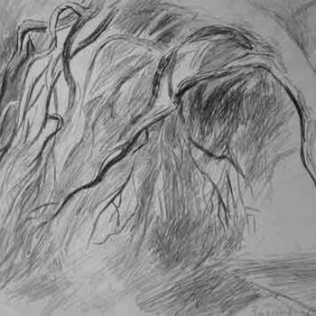 Drawing titled "Willow" by Vladimir Zagitov, Original Artwork