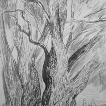 Drawing titled "Big Willow" by Vladimir Zagitov, Original Artwork