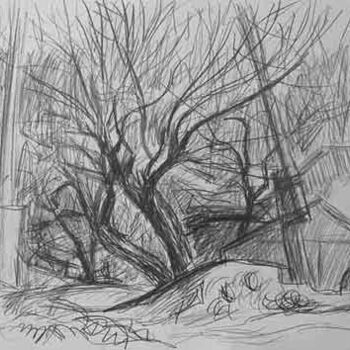 Disegno intitolato "Trees" da Vladimir Zagitov, Opera d'arte originale
