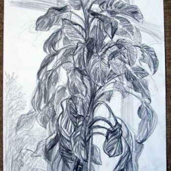 图画 标题为“plant” 由Vladimir Zagitov, 原创艺术品