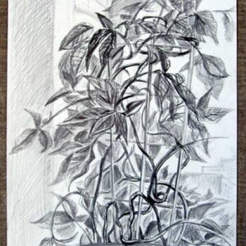 Drawing titled "plant" by Vladimir Zagitov, Original Artwork