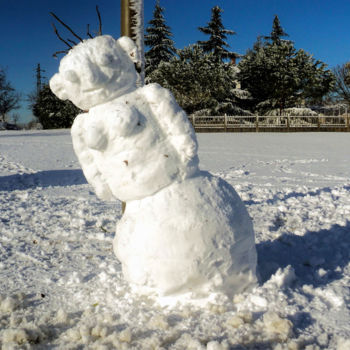 Фотография под названием "Snow(wo)man" - Vlado Mandić, Подлинное произведение искусства, Цифровая фотография