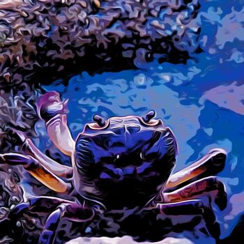 Digitale Kunst getiteld "just a crab" door Vladoyan, Origineel Kunstwerk, Digitaal Schilderwerk